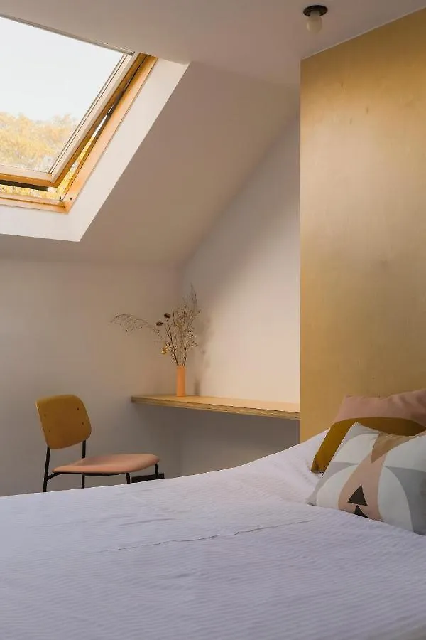 Canopee Guesthouse 0*, Ixelles